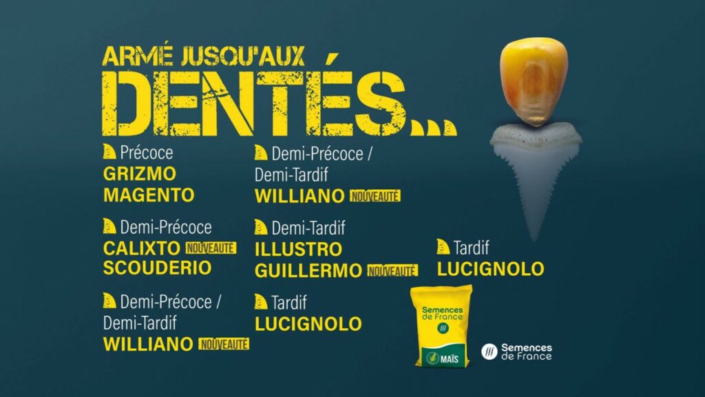 Armées jusqu'aux dentés